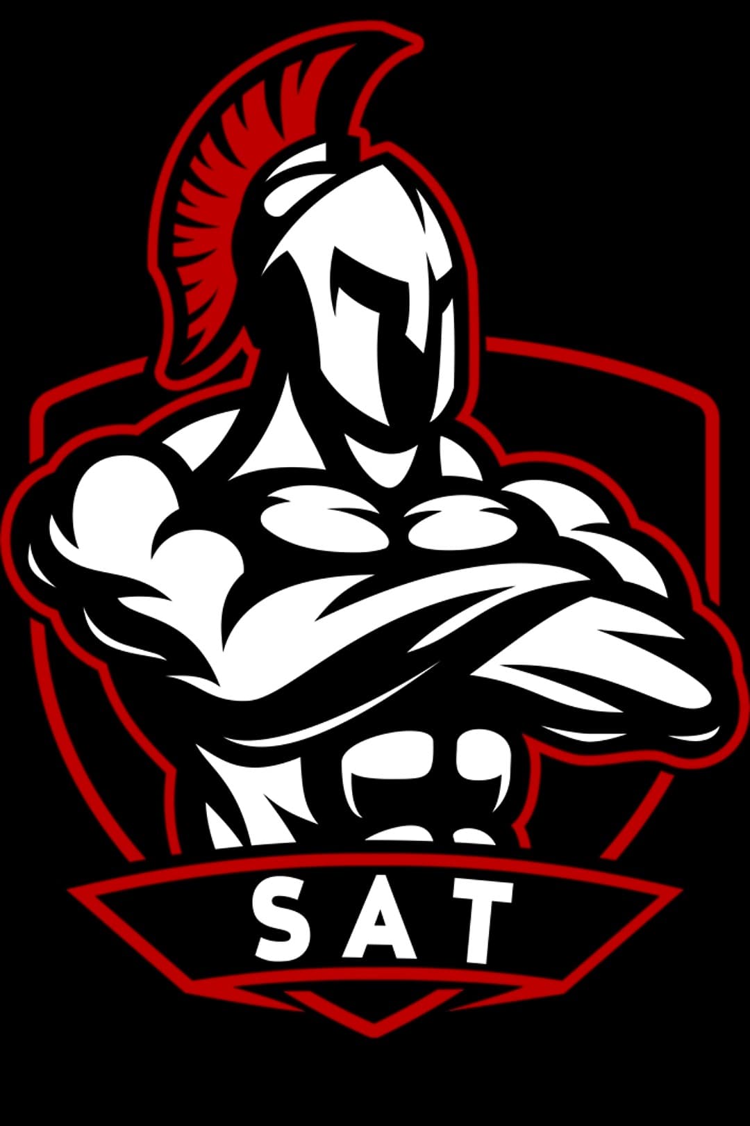 SAT logo