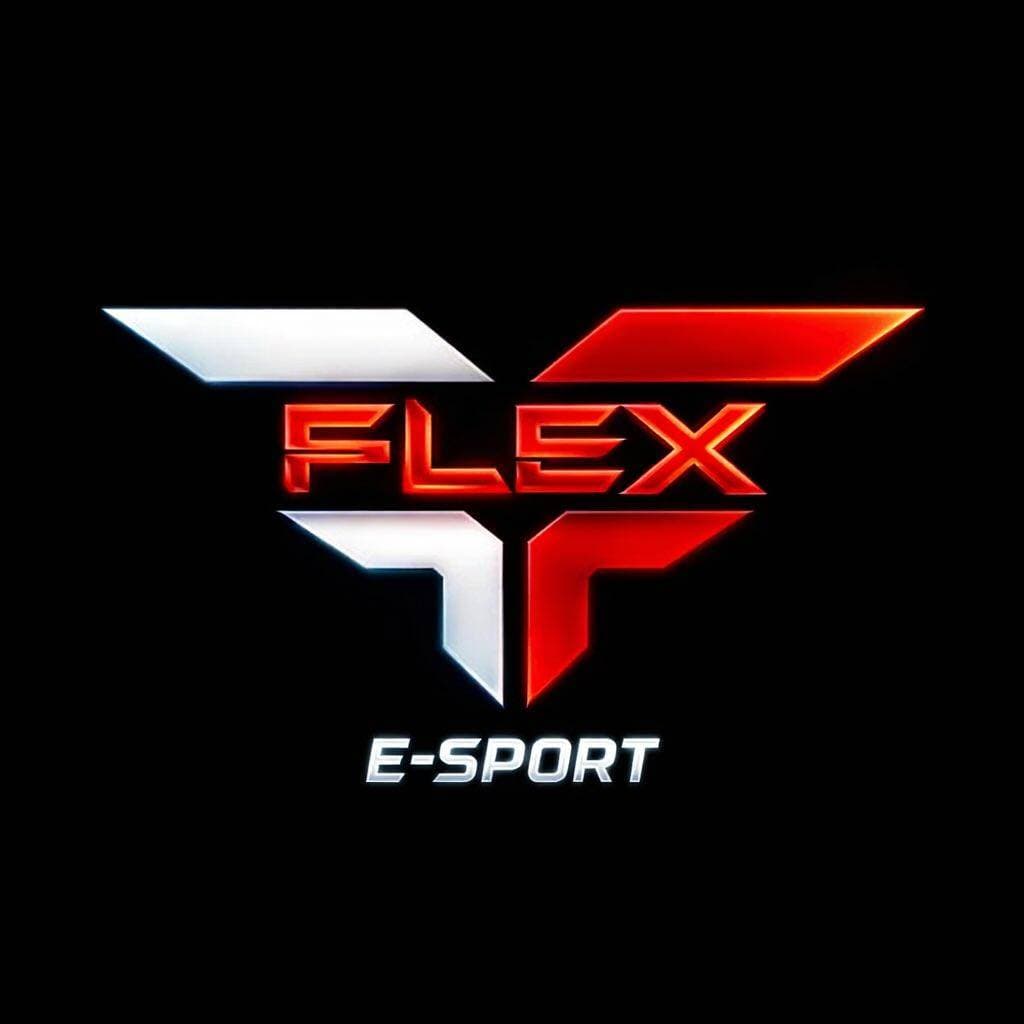 FleX logo